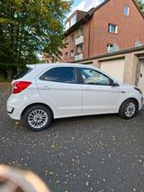 Ford zu verkaufen Ford Ka in weiß - Ford Ka/Ka+ in Bonn