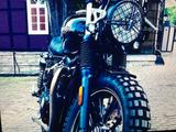 Triumph Street Cup  - TRIUMPH STREET CUP