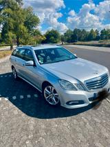 Mercedes-Benz E 350 CDI T BlueEFFICIENCY AVANTGARDE AVANTGARDE - Mercedes-Benz E 350 mit Diesel-Antrieb: Stoff, Kombi