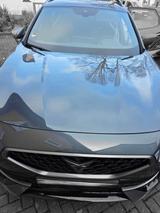 Cupra Formentor 2.0 TSI 228kW VZ 4Drive DSG VZ