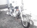 Suzuki Intruder Chopper - Angebote