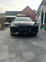 Seat Cupra Leon VZ 1.4 e-Hybrid 180kW 6-Gang-DSG - Seat Leon VZ Gebrauchtwagen