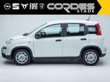 Fiat Panda Pandina City Paket 1.0 Mild Hybrid PDC Kli - Fiat Panda Gebrauchtwagen