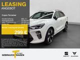 Cupra Terramar VZ 2.0 TSI 4D LM20 PANO AHK SENNHEISER - Cupra Terramar Gebrauchtwagen in Dortmund