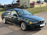 BMW  E39 530d 2.Hand OxfordgrünII | Lichtgelb - BMW 530: Grün