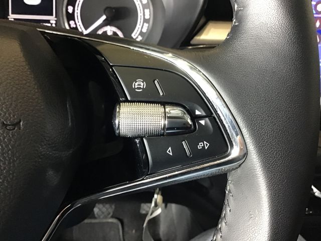 Fahrzeugabbildung Skoda Fabia Selection 1.0 TSI LED/Tempo/SHZ/SmartLink