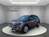 Hyundai TUCSON (TL) blue Trend 2WD - Hyundai TUCSON TL
