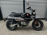 Honda MONKEY 125 / AKTION "TAGESZULASSUNG" - Offers matching your search criteria