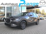 Mazda CX-30 2027 M-Hybrid G-140 Prime-Line NAVI ACAA L - Mazda CX-30 Prime-Line mit Benzin-Antrieb