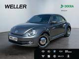 Volkswagen Beetle 1.2 TSI BMT Cup *SHZ*PDC*Tempo*LMF*Climat - gebrauchte VW Beetle aus dem Jahr 2014