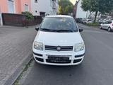 Fiat New Panda /Klima - Fiat New Panda in Bochum