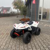 CFMOTO CFORCE EV110 inkl. Appintegration - CFMOTO CFORCE EV110
