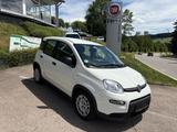 Fiat Panda Pandina - Fiat Panda: Pandina