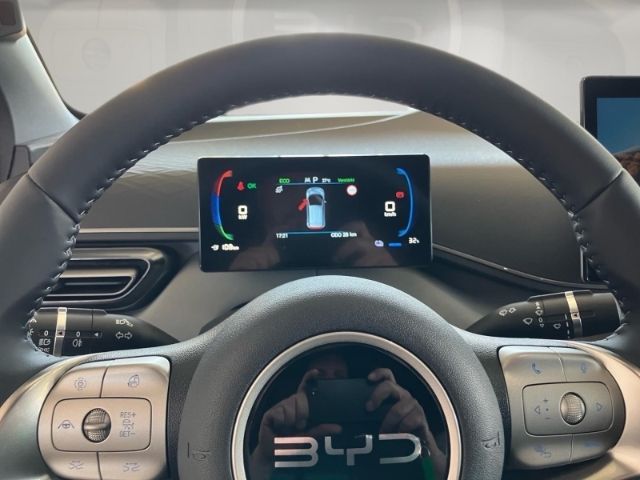 BYD DOLPHIN SURF