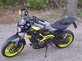 Yamaha MT 07 MOTO CAGE - YAMAHA MT 07 MOTO CAGE
