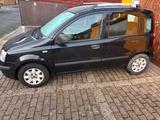 Fiat Panda zu verkaufen  0157 58736688 gut... - Fiat Panda Gebrauchtwagen in Wuppertal
