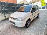 Fiat Panda Benzin/komp.Erdgas 12 - Fiat: Erdgas