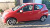 Nissan Pixo ACENTA 1.0 - Nissan Pixo Acenta mit Benzin-Antrieb