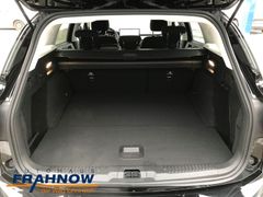 Foto Nummer 11: FORD Focus