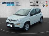 Fiat Panda MY24 Hybrid 1.0 GSE 70PS KLIMAANLAGE*RADIO - Fiat Panda Tageszulassungen