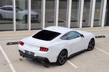 Ford Mustang 2.3 Premium Leder LED Camera  - gebrauchte Ford Mustang aus dem Jahr 2024