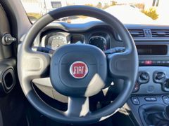 Fahrzeugabbildung Fiat Panda City Plus KLIMA SHZ ISOFIX RADIO