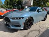 Ford Mustang 2.3 ECO/Model-25/My-Colour/Spurh/Carpl/ - gebrauchte Ford Mustang aus dem Jahr 2024
