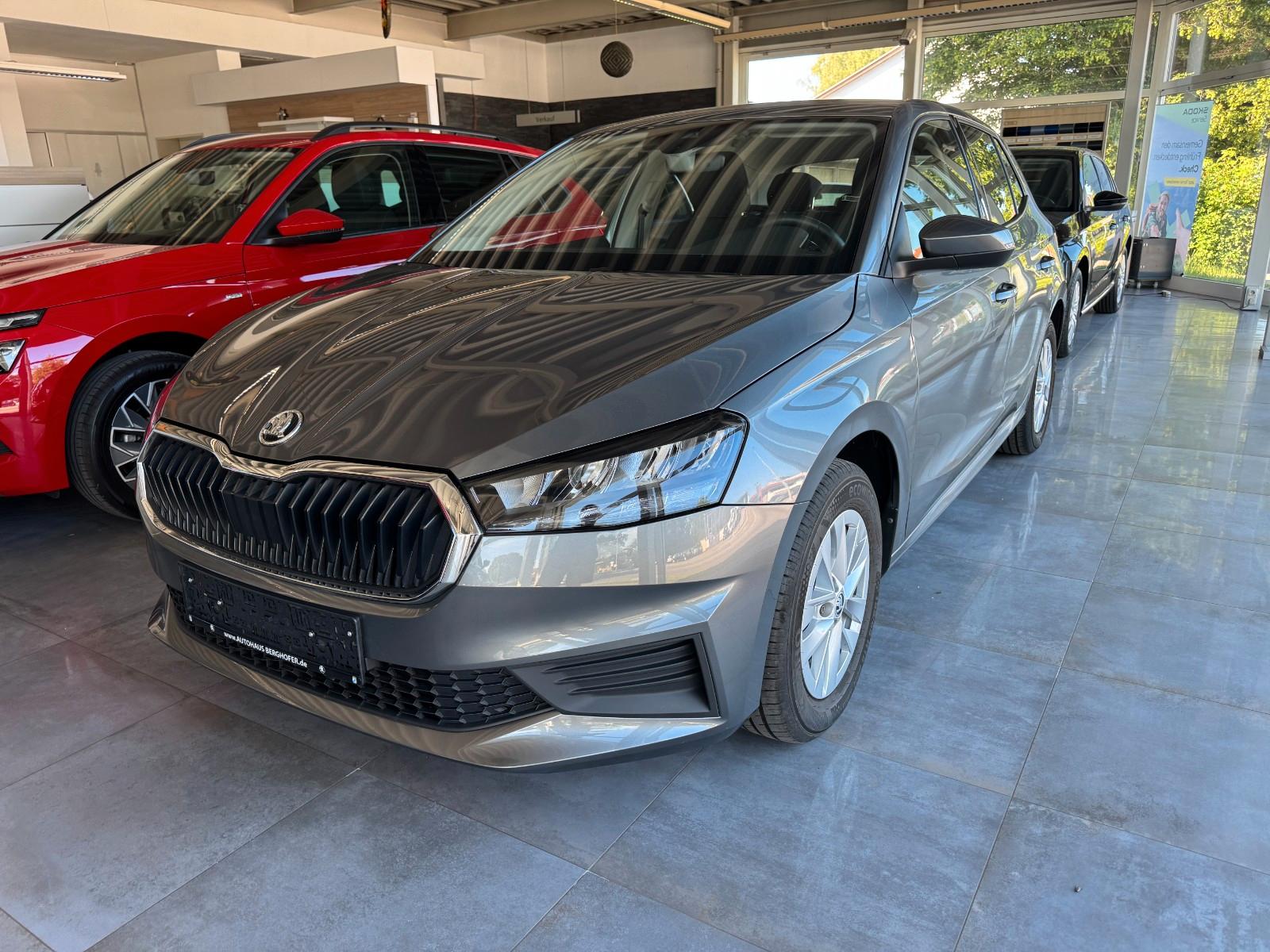 Skoda Fabia TSI Ambition/PDC/SHZ