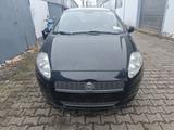 Fiat Punto 1,4 - Fiat Punto aus 2008: 1.4