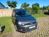 Volkswagen VW Caddy 1.6tdi Roncalli Edition - Volkswagen Caddy: Roncalli Edition
