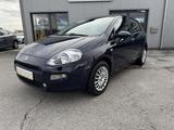 Fiat Punto MYSTYLE  Service + Zahnriemen + HU neu - Fiat Punto MYSTYLE mit Benzin-Antrieb