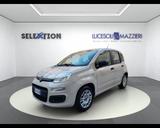 Fiat FIAT Panda 3ª serie - Panda 1.2 EasyPower Easy - Fiat Panda mit LPG-Antrieb