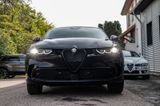 Alfa Romeo Tonale MY25 1.5 VGT Hybrid 118kW DCT INTENSA - Alfa Romeo: 2.5