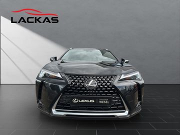 Lexus UX - 8