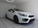 Kia cee'd / Ceed GT-Track Klima Navi Leder LED BC SH - Kia: Weiß, Cee D