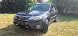 Subaru Forester 2.0X Exclusive Automatik Exclusive - Subaru Forester mit Benzin-Antrieb: Leder, Allradantrieb