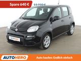 Fiat Panda 1.0 Mild-Hybrid*KLIMA*DAB*GARANTIE*  - Fiat Panda Gebrauchtwagen in Stuttgart