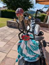 Harley-Davidson FLSTSB - HARLEY-DAVIDSON FLSTS