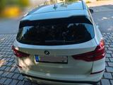 BMW X3 xDrive30d xLine  - BMW X3 xLine mit Diesel-Antrieb