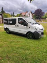 Opel,Bus,Vivaro,Transporter,Kasten - gebrauchte Opel Vivaro aus dem Jahr 2006