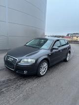 Audi A3 1.6TSFI 4 Türer TÜV NEU Klima Sitz... - Audi A3: Türer 3