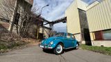 Volkswagen Käfer 1965er Oldtimer - Volkswagen Käfer aus 1965