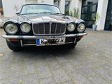 Jaguar XJ6 Coupé Linkslenker zu verkaufen  - Jaguar aus 1975