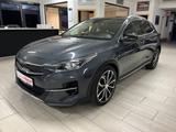 Kia XCeed Platinum Edition Navi DAB Temp PDC - Kia XCeed Gebrauchtwagen