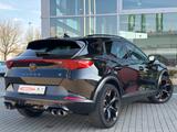 Cupra Formentor VZ Tribe Edition 4Drive - Cupra Formentor Gebrauchtwagen