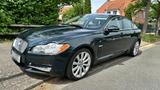 Jaguar XF 1. Hand 3.0l Diesel 24OPs Baujah... - Jaguar Gebrauchtwagen von 2010