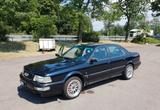 Audi V8 D11 (Typ 44) 3,6 Quattro Limo  mit Tauschmot. - Audi V8 Gebrauchtwagen