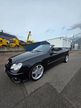Mercedes-Benz CLK 500 AVANTGARDE AVANTGARDE - Mercedes-Benz CLK 500 Gebrauchtwagen
