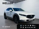 Mazda CX-30 SKYACTIV-G 2.0 M-Hybr SELECTION *360°*BOSE - Mazda in Hagen