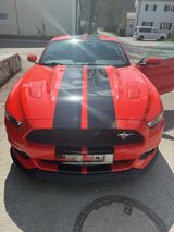 Ford Mustang 5.0 Ti-VCT V8 GT GT - Ford Mustang: V